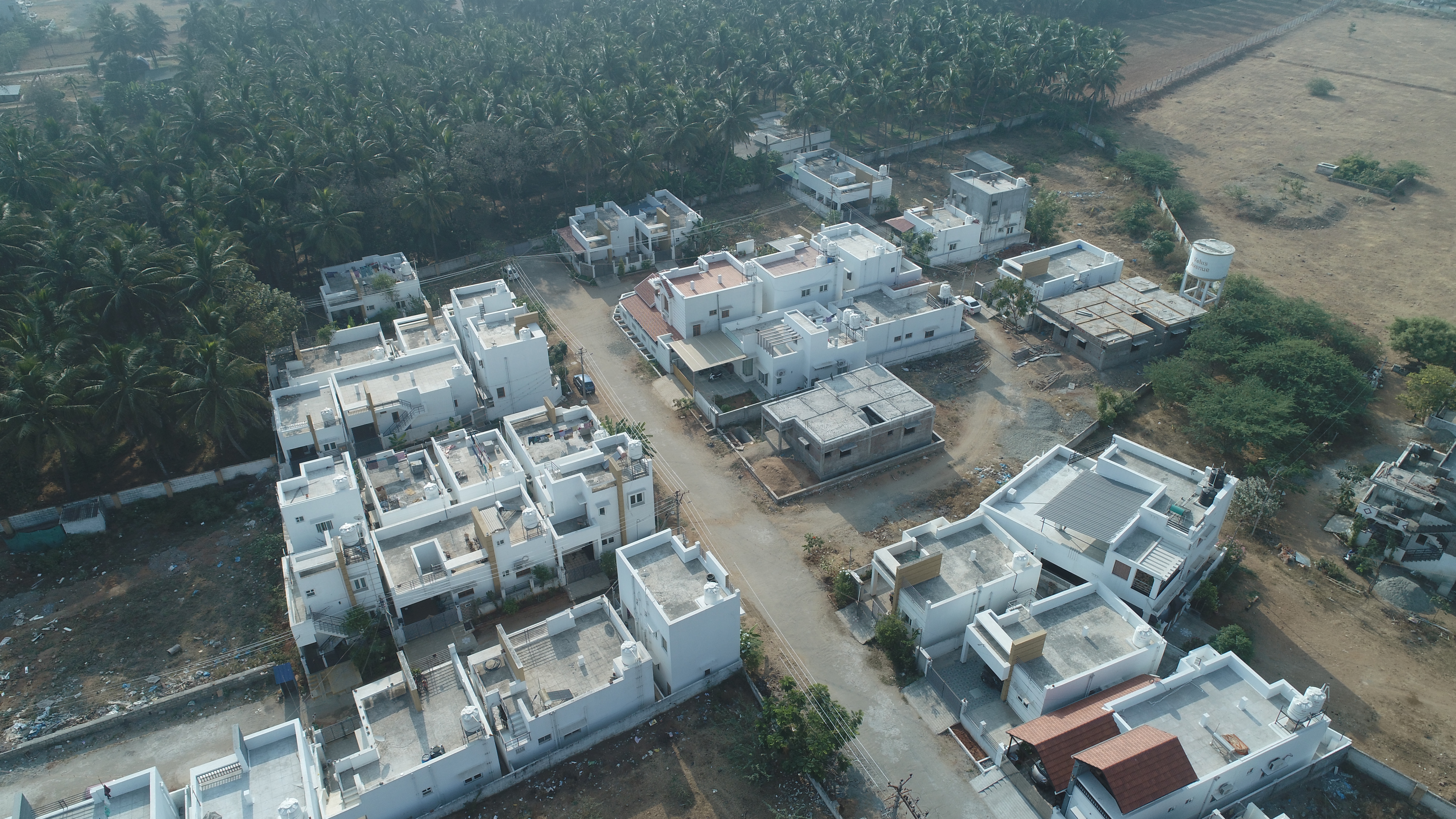 DJI_0544