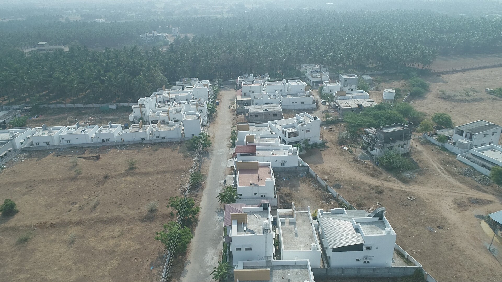 DJI_0569